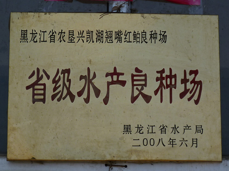 P1040467_副本.jpg
