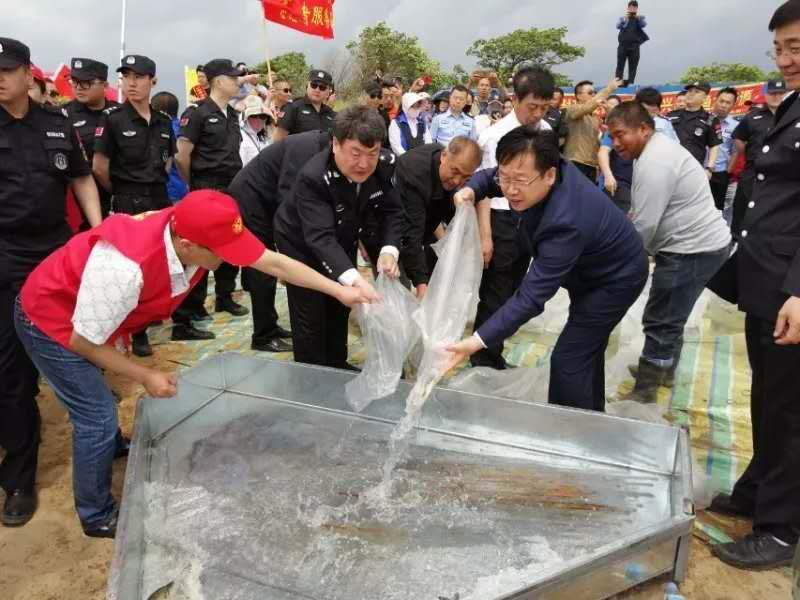 微信图片_20190607100425.jpg