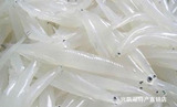 兴凯湖大银鱼