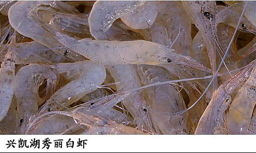 2014042317091968_wps图片.jpg