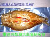 香煎-兴凯湖大白鱼（售后：18646705388）
